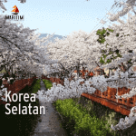 Harga Paket Wisata Korea Selatan Murah