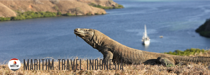 Pulau Komodo Indonesia 2