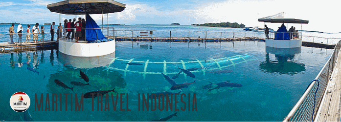 Undersea Aquarium Putri Island Resort