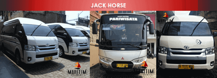 sewa bus medium Jack horse 2